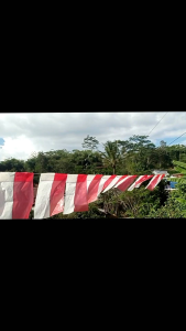 Bendera Merah Putih Plastik isi 100pcs Nontali (Tali dijual terpisah) untuk memeriahkan kemerdekaan