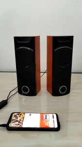 Loa máy tính Peanuts Club Grand hàng si Nhật