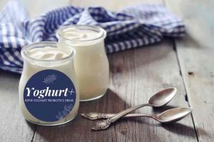 Milk Kefir 开菲尔益生菌酸奶饮料