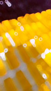 1kg Agar - Agar Kering Manisan Ager Kering Kiloan