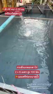 Product Name: กระชังบกตอกตาไก่ สูง 50-70-100 ซม. หนา 0.30 มม. เคลือบกันแสง UV แถมฟรี ท่อระบายน้ำ