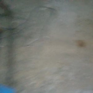 Headlamp Senter Kepala Energizer: Panduan Lengkap