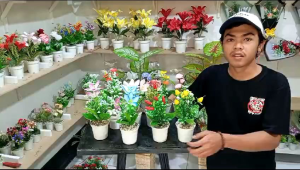 paket hemat 100 ribuan dapet 15pot campur