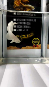 Ekstrak Daun Ketapang Kemasan 1 Liter Pekat Alami Hasil Fermentasi Kualitas Premium