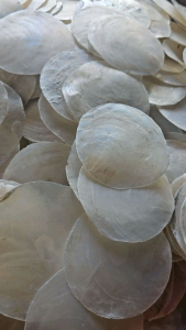 Capiz shells ORIGINAL WASHED ( MALINIS ) 200PCS