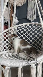 Võng macrame xích đu macrame treo trần decor phong cách vintage