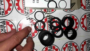Sc20 Sc30 Seal kit Power Sprayer Sancin 20 30
