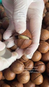 Yummy แมคคาเดเมีย  = 1 กิโลกรัมกรัม = แม็คคาเดเมียอบ Macadamia แมคคาเดเมียอบ แมคคาเดเมียอบธรรมชาติ ถั่วแมคคาเดเมีย ถั่ว ถั่วแม็คคาเดเมีย ราชาแห่งถั่ว ถั่วอบแห้ง หอม กรอบอบธรรมชาติ พร้อมทาน ร่อย มัน ฟินมากๆ ส่งเร็ว