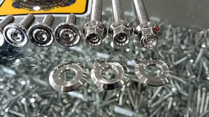 น๊อตกรองอากาศGIORNO-125 สแตนเลสหัวจี้ร่อง+สนามจี้ลาย(10ตัว) น๊อตกรองอากาศgiorno.น๊อตยึดกรองอากาศgiorno