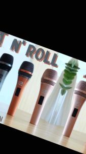 ไมค์โครโฟน 12 engineers รุ่นสี Rost n’ Roll