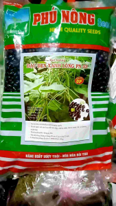 Hạ giống đậ đen xanh lòng PN 03 - gói 1kg - Hạt to tròn vỏ mỏng