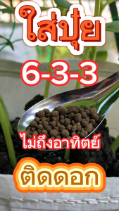 ปุ๋ย6-3-3 OM10%. 10 กก.