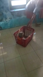 kranjang jumbo murah kranjang pajero