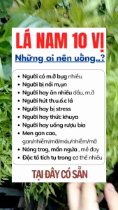 [MUA 1 TẶNG 4 gói túi lọc VÀ QUÀ ]TRÀ LÁ NAM 10 VỊ GIẢM BỤNG GIẢM MỠ GAN GIẢM MỠ MÁU ĐÀO THẢI ĐỘC TỐ( liêu trình 15 gói dùng 30 ngày + 4 gói túi lọc và quà