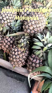 Fresh Josapine Pineapple – Sweet & Juicy | Malaysia Farm Direct | Perfect for Eating or Juicing 黄梨｜马来西亚直送 Nanas Josapine