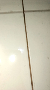 Rotor Delco Platinum Toyota Kijang Starlet Suzuki Carry Extra Futura