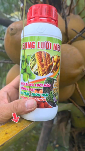 Bung lưỡi mèo chống nghẹn bông và gia tăng tỷ lệ đậu trái lớn trái chai 500ml
