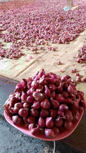 Bawang merah 1kg