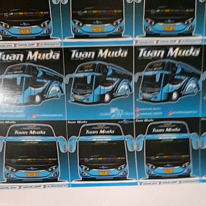 STIKER BUS TUAN MUDA ISI 48 KOTAK  /STIKER BUS BASURI TUAN MUDA ISI 48 PC /STIKER TELOLET BUS BASURI TUAN MUDA