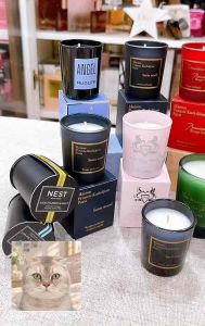 Nến Thơm Mini MFK DELINA ANGEL Các Dòng Tổng Hợp