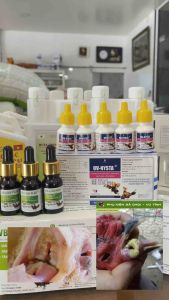 UV-NYSTA 10ml trị nấm phổi nấm diều nấm họng đen miệng nấm tiêu hoá trên gà đá chim cảnh