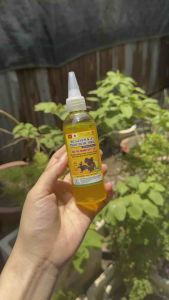 ĐG GLUCO K+C thảo dược chuyên Gà Đá giúp mát thanh nhiệt giảm stress chống nóng phục hồi thể lực cung cấp đầy đủ vitamin khoáng