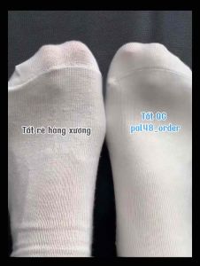 Set 10 đôi tất trơn pastel cổ cao chất mềm mịn hàng Quảng Châu