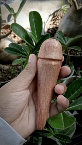 Pipa Kayu Setigi Laut Unik & Lentik A631