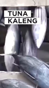 Tuna Kaleng Murah | Tanpa Merk – Ikan Tuna Siap Saji Lezat & Bergizi Tinggi (90 Gram)