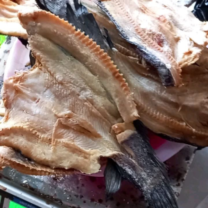 Ikan Asin Gabus sedang 1 kg bisa COD Murah