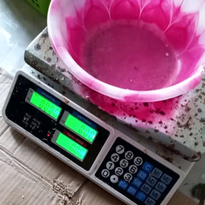 Ikan Asin Gabus Besar Murah 1 Kg