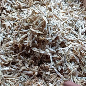 ikan asin teri jengki belah 1 kg murah