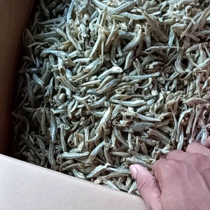 COD ikan asin teri jengki 500 gram super Ikan asin murah