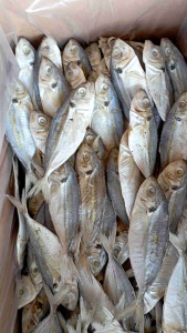 ikan asin peda SELAR / CUE / TAJAN / JAPUH bersih 1 kg