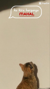 KOPI BUBUK RASA SEJATI ISI 50g