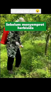 BELI 3 GRATIS 1 BOTOL KILL GRASS PANDA RAJA PEMBUNUH HAMA DAN GULMA TERLARIS