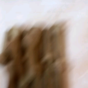 TYPE 1 ISI 60 PCS/Karet cabut ayam isi 60 pcs/karet gilingan bulu ayam/bebek/unggas Isi 60 pcs