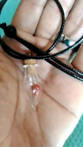 Satu Pasang Batu mustika Biji merah delima / Fosil biji delima merah