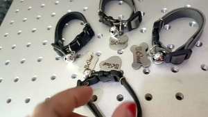 Kalung Nama Peliharaan & Lonceng: Desain Unik untuk Anjing