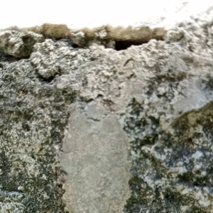 Teh Solo 4Racikan Wangi Sepet