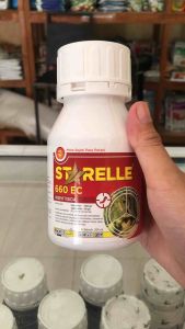 Starelle 660ec 200ml Mengendalikan Hama Tanaman Bawang Merah Kedelai