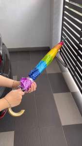 Rainbow Colour Umbrella