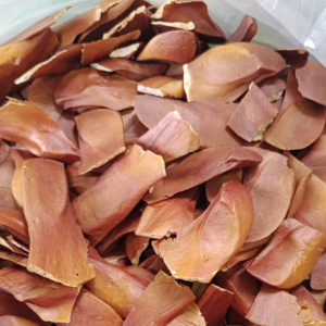 Benih biji mahoni kering 1kg