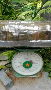 Bánh tét 3 màu nhân đậu mỡ trứng muối 12kg