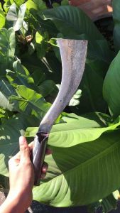 มีดตัดอ้อยแหนบช่างคำ ทำจากเหล็กแหนบแท้ 100% ใช้ตัดต้นอ้อย ถางป่าถางหญ้า ใช้ตัดกิ่งไม้ใหญ่ได้ มีด พร้า