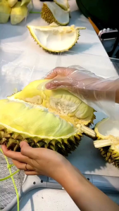 🔥ส่งฟรี ทุเรียนหมอนทองมาแล้วจ้า เนื้อดีมาก เนื้อล้วนAAพร้อมส่งด่วน1วันถึง