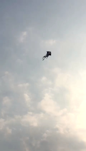 layangan kain motif tengkorak manusia jumbo