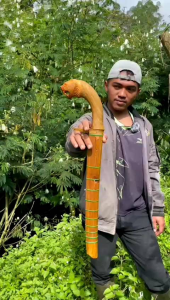 GOLOK BUNGBULANG FULL BAJA PREMIUM