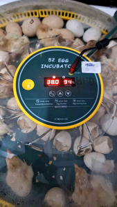 Mesin Tetas Telur Otomatis HHD S52H Full Otomatis Model Terbaru Kapasitas 52 Telur
