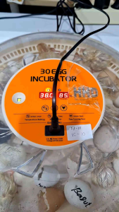 Mesin Tetas Telur Otomatis HHD S30H Full Otomatis Model Terbaru Kapasitas 30 Telur